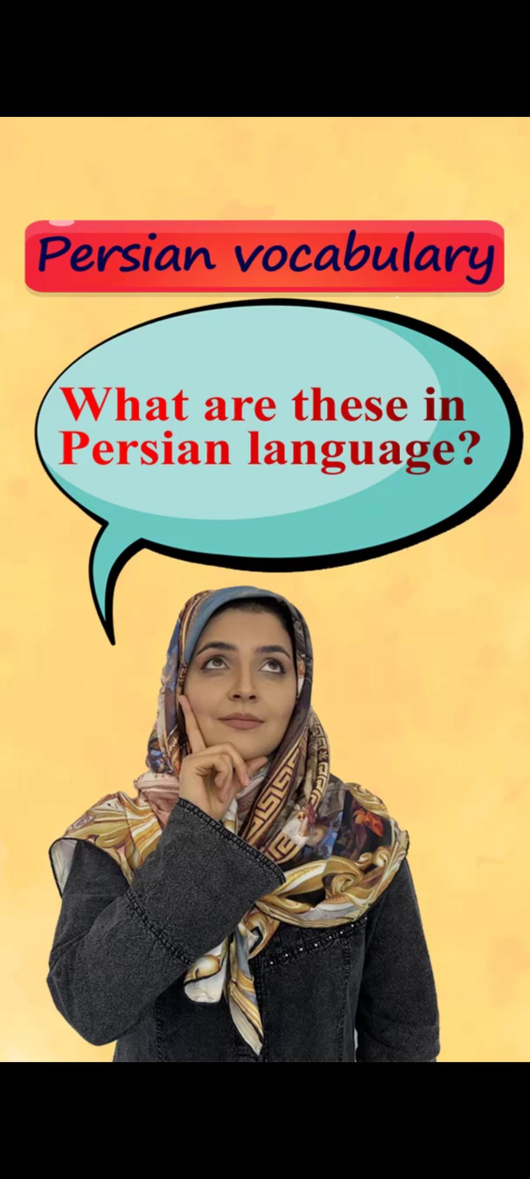 Lesson 21 Essential Farsi Vocabulary