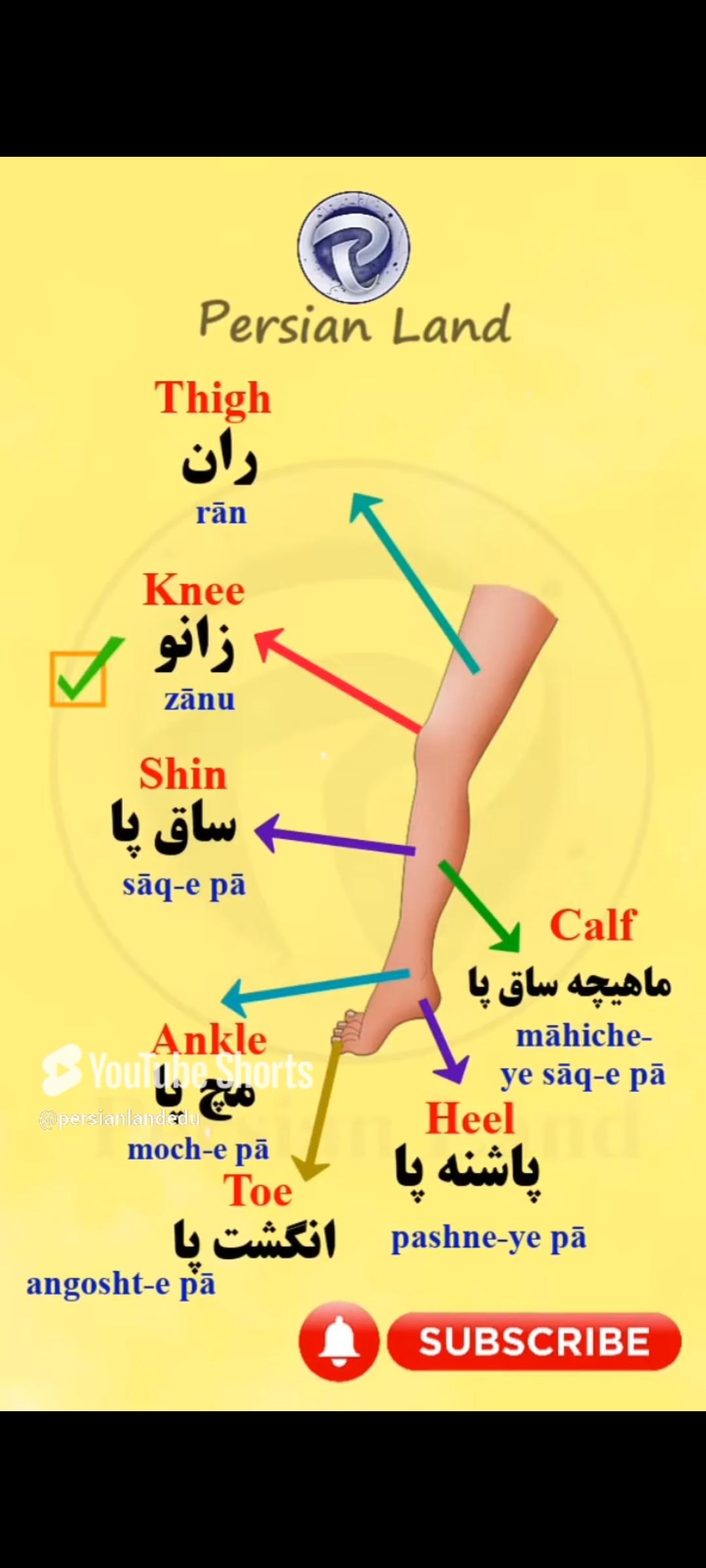 Lesson 100 Different parts of the body in Persian