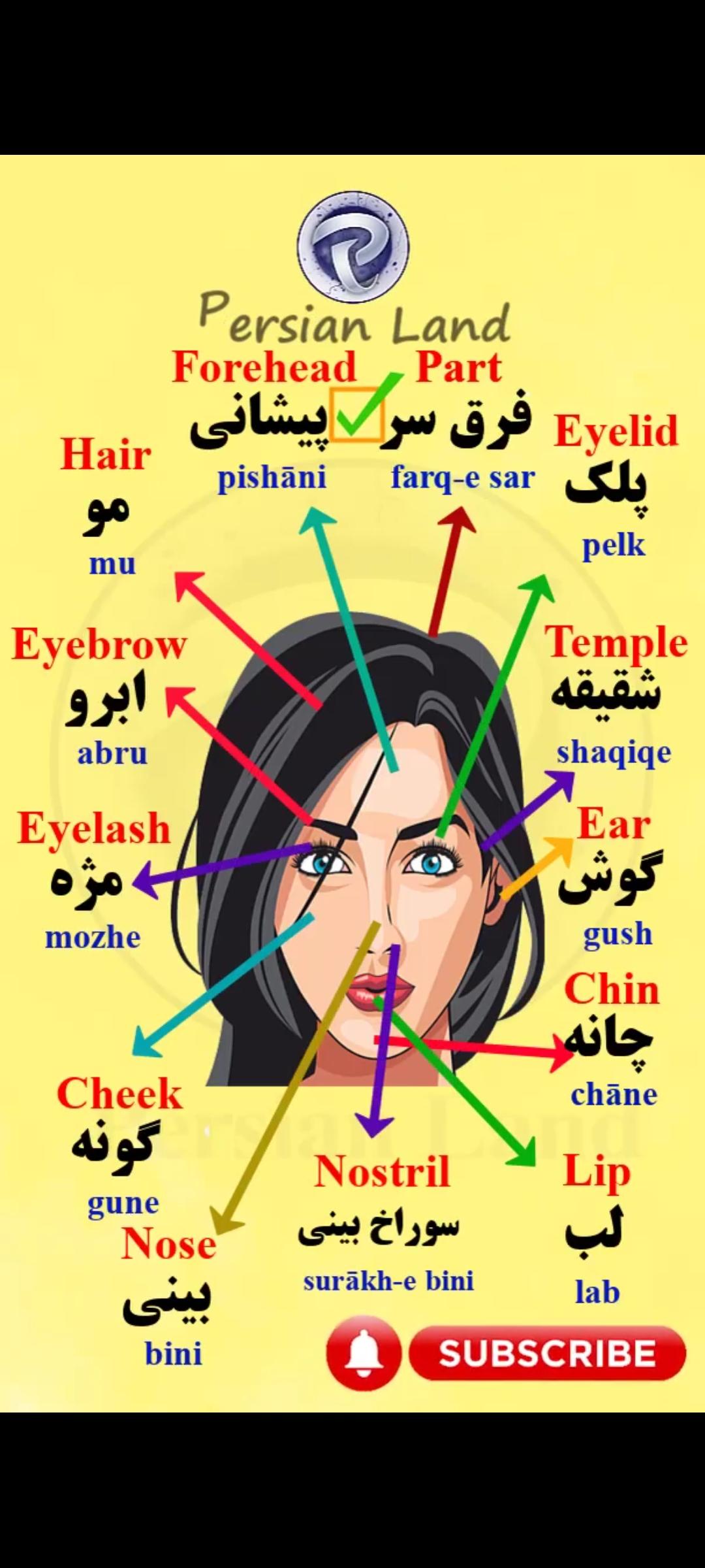 Lesson 95 Parts of the face in Persian
