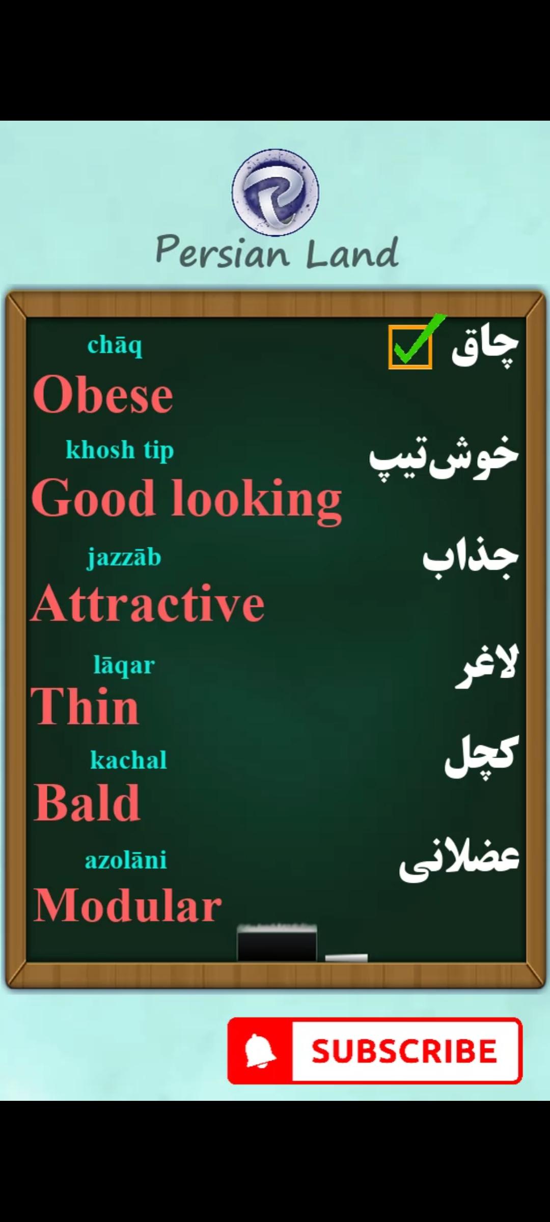 Lesson 90 Describing appearance appearance adjectives