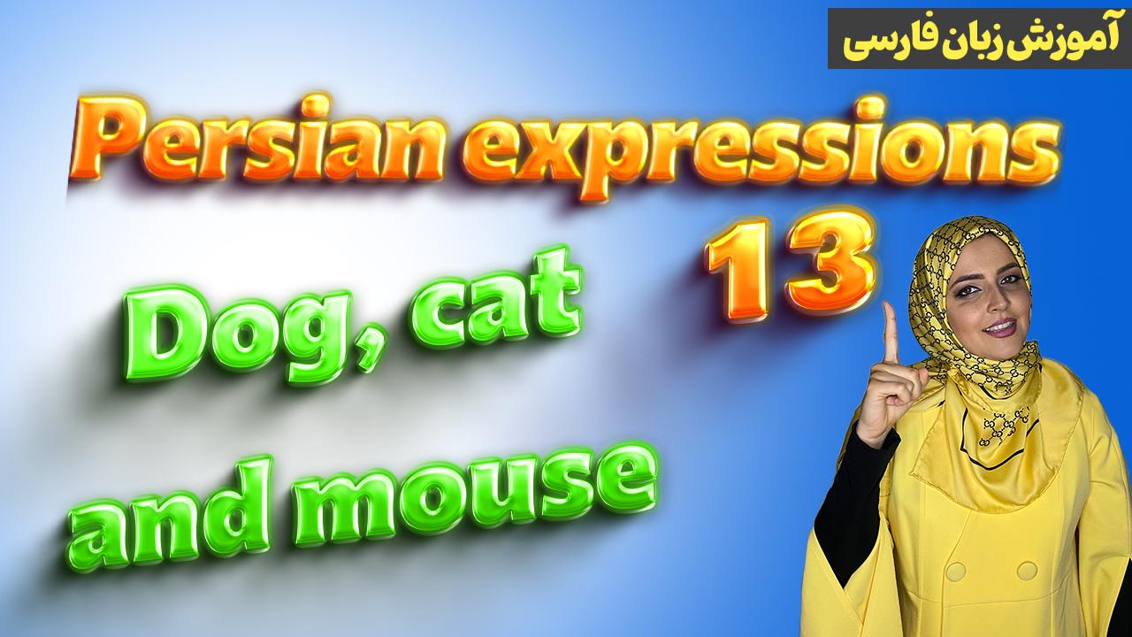 Lesson 13 Farsi idioms with mouse, cat, dog